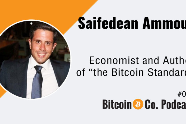 Podcast with Saifedean Ammous